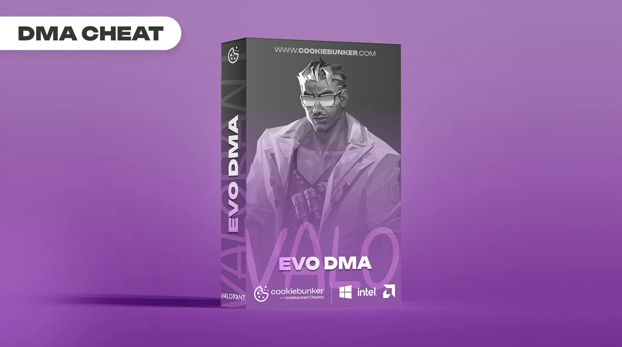 Valorant — Evo [DMA]